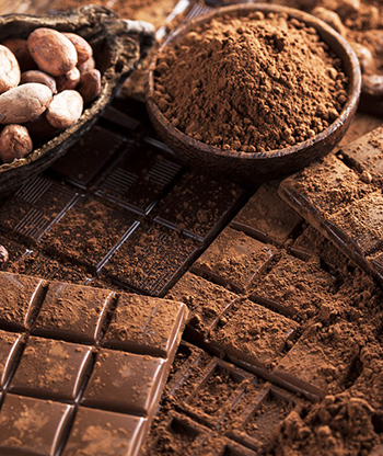 Chocolate Tasting