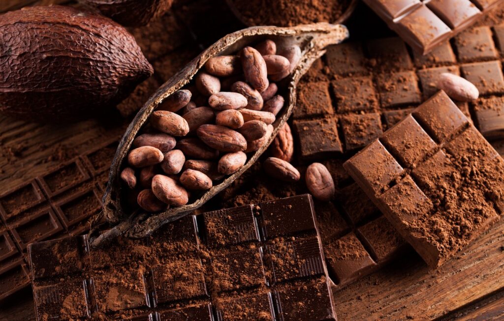 https://www.capitalchocolatefestival.com/author/adminccf/